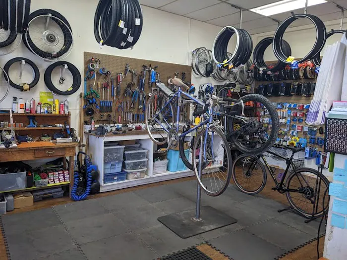 Pure Cycles Picture 7