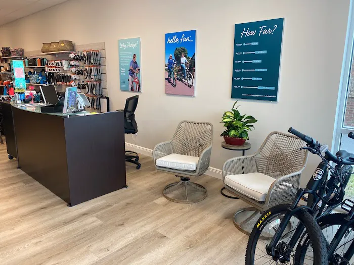 Pedego Electric Bikes Trailwinds Village Picture 8