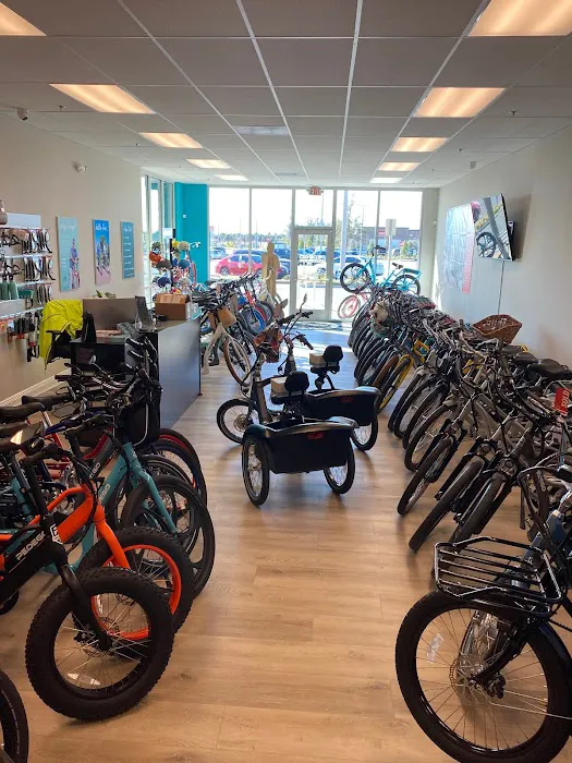 Pedego Electric Bikes Trailwinds Village Picture 2