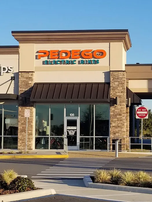 Pedego Electric Bikes Trailwinds Village Picture 6