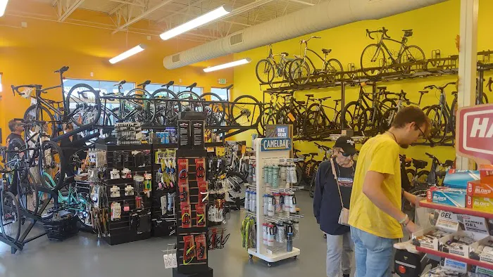 Village Cycles Picture 7