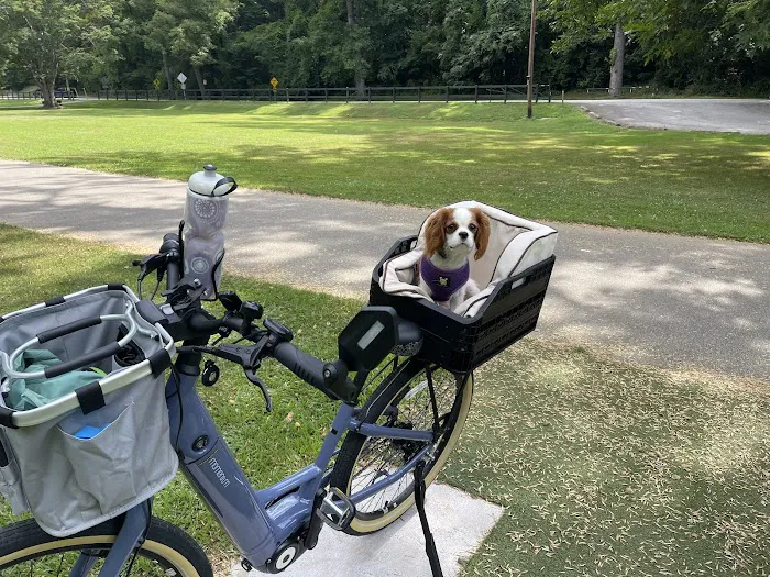 Village Cycles Picture 8