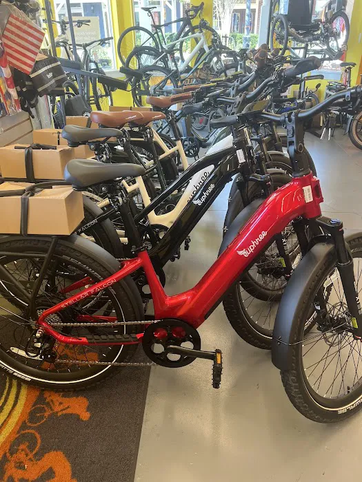 Village Cycles Picture 10