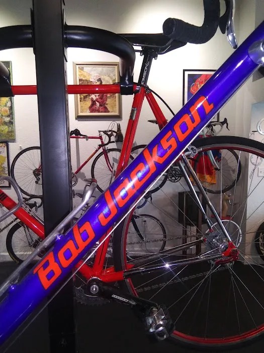 The Bike Docter sales repairs and service Ebike Specialists Picture 10