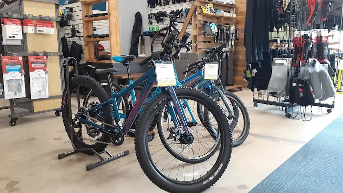 Santos Bike Shop Picture 5