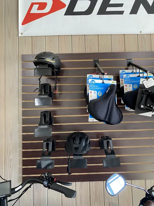 Select e-bike Picture 1