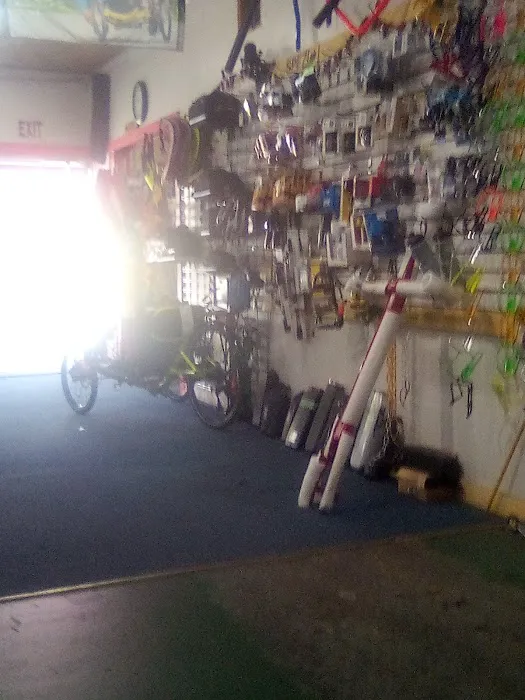 Trailside Trikes Picture 5