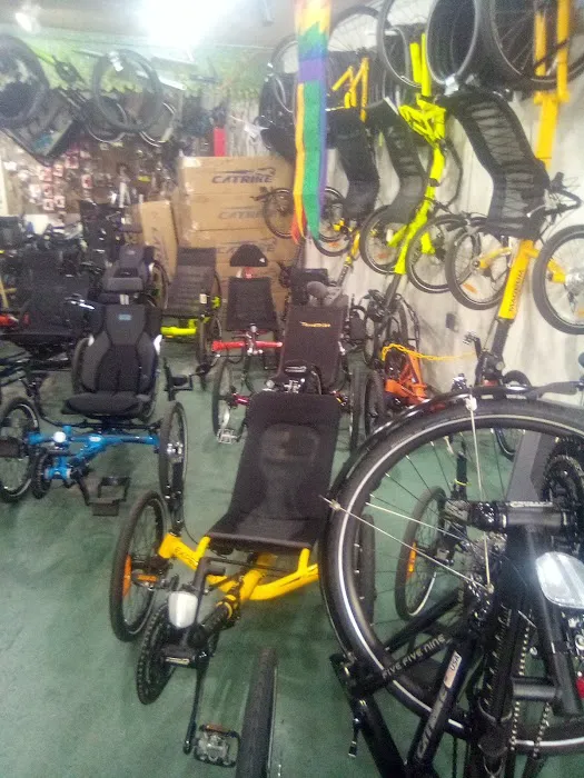 Trailside Trikes Picture 4