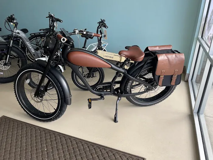 Carousel E-Bikes Ebikes Picture 2