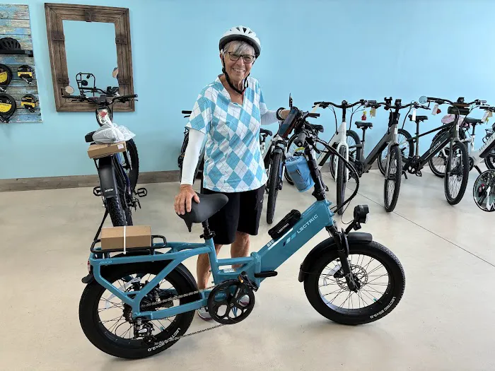 Carousel E-Bikes Ebikes Picture 1