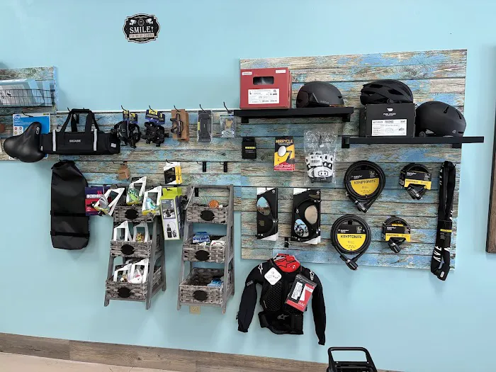 Carousel E-Bikes Ebikes Picture 3