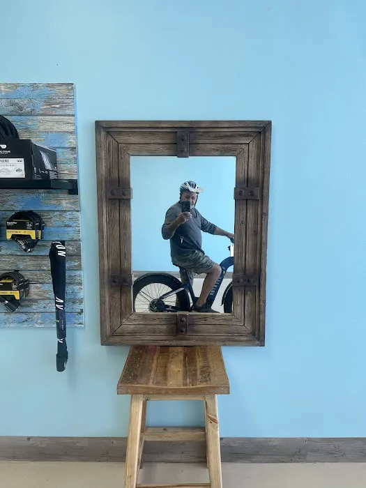 Carousel E-Bikes Ebikes Picture 5