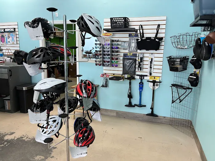Carousel E-Bikes Ebikes Picture 7
