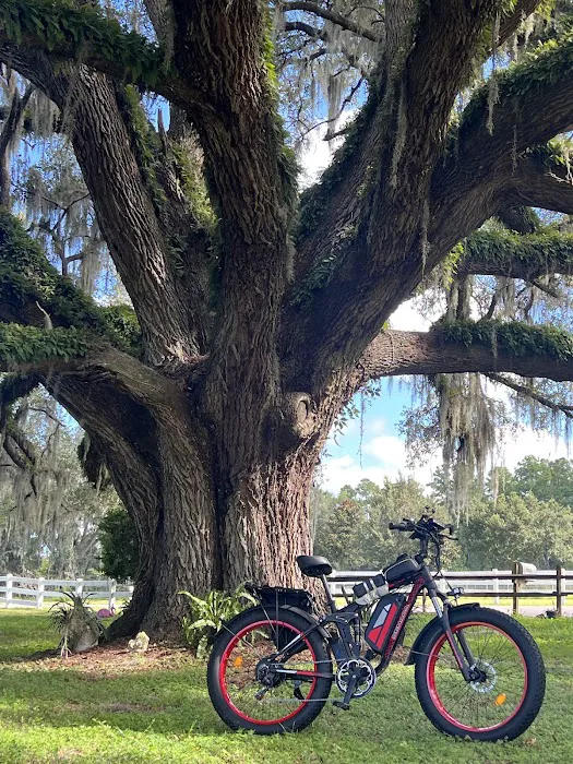 Ocala E-Bike Company Picture 4