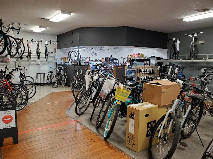 Ocala Bicycle Center Picture 8