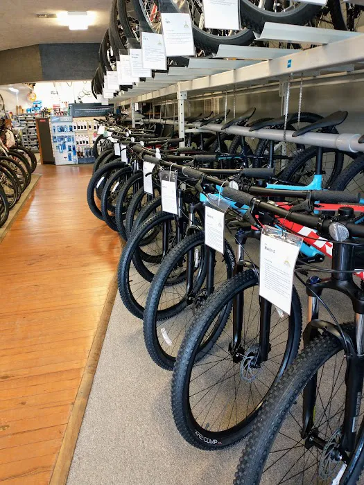 Ocala Bicycle Center Picture 4