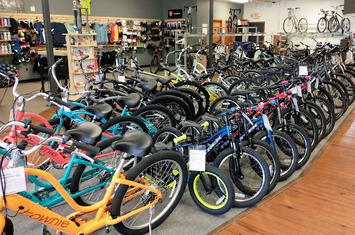 Ocala Bicycle Center Picture 3