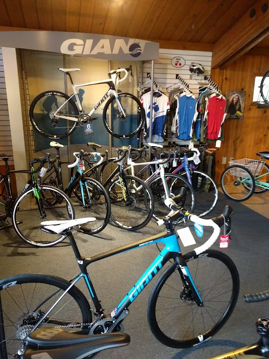 Blue Run Bicycles & Paddle Co. Picture 1