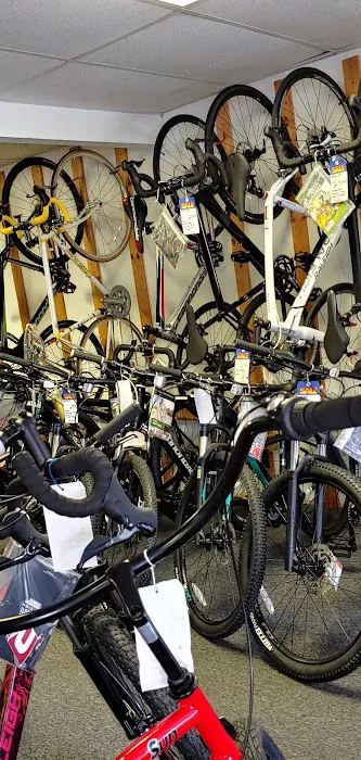 Brooksville Bicycle Center Picture 3