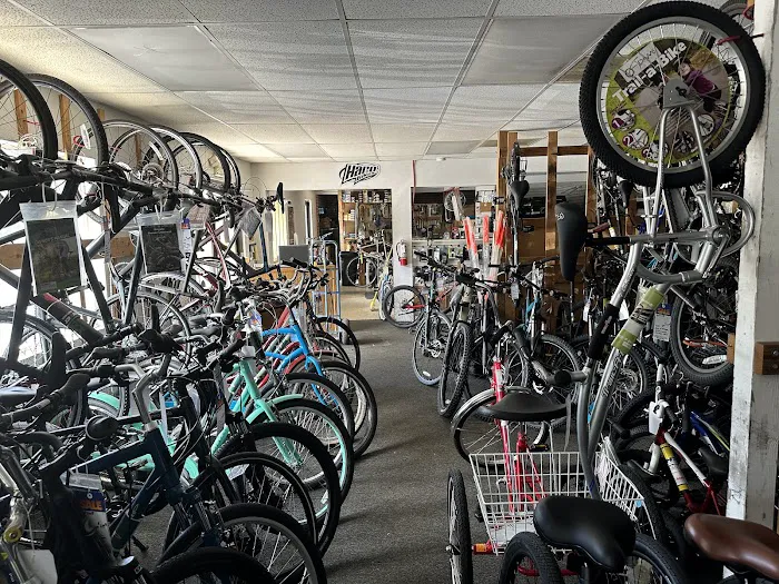 Brooksville Bicycle Center Picture 7