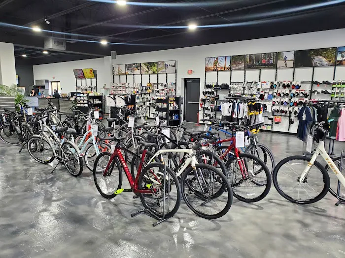 Trek Spring Hill Picture 8