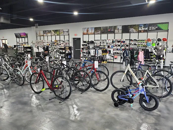 Trek Spring Hill Picture 7