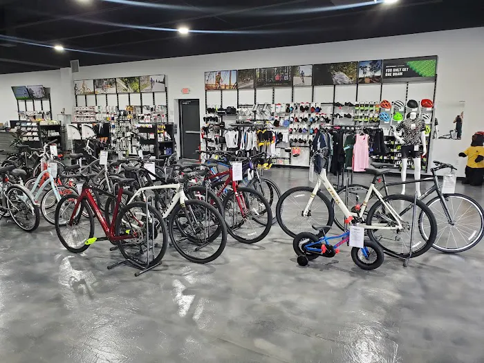 Trek Spring Hill Picture 9