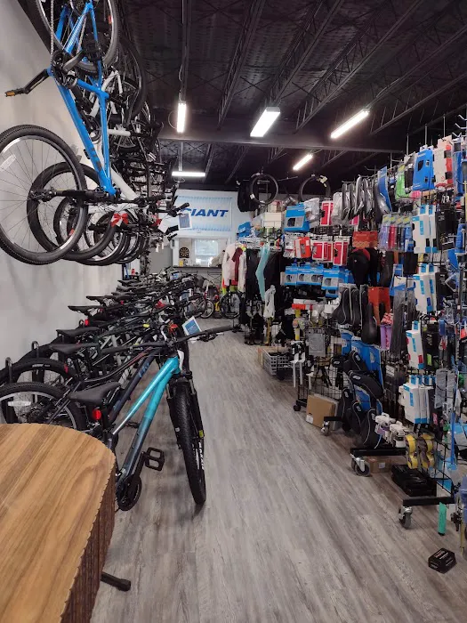 Fat Rick's Bicycle Emporium Picture 1