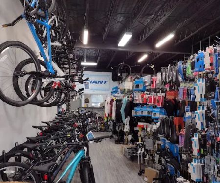 Fat Rick's Bicycle Emporium