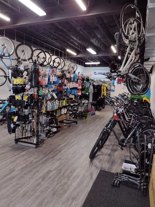 Fat Rick's Bicycle Emporium Picture 5