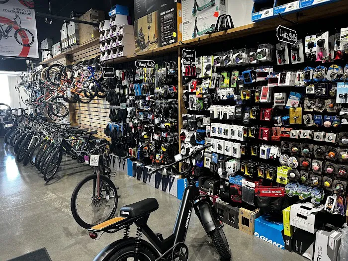 E Cycle Adventures Picture 1