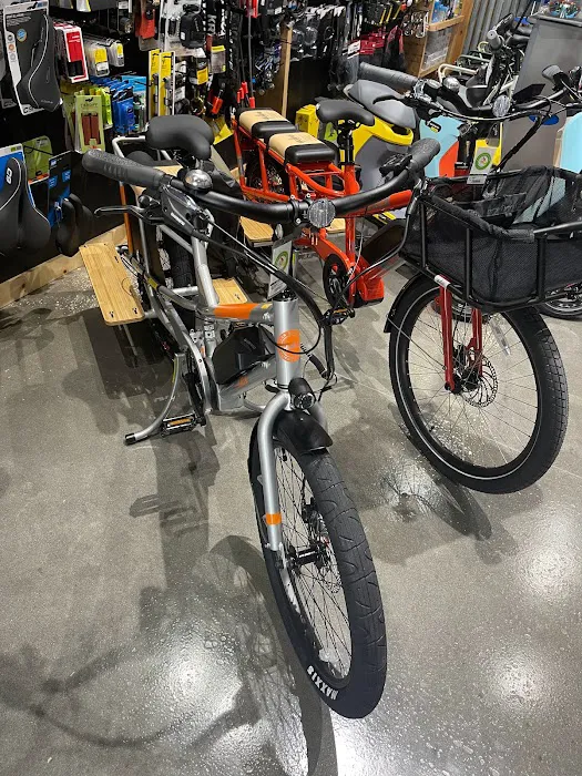 E Cycle Adventures Picture 8