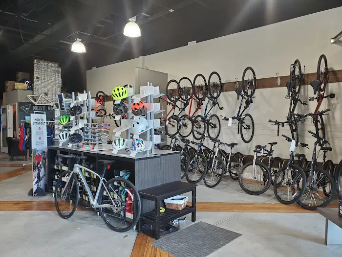 Oliver's Cycle Sports Picture 5