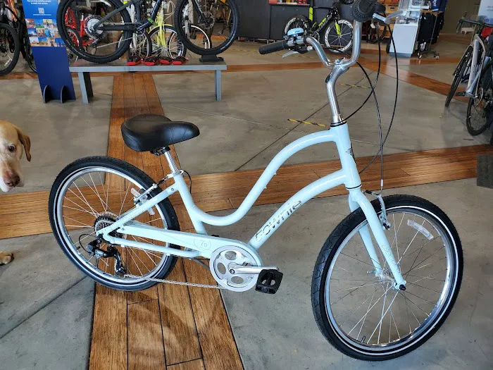 Oliver's Cycle Sports Picture 7