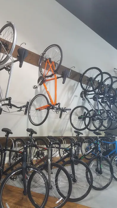 Oliver's Cycle Sports Picture 9