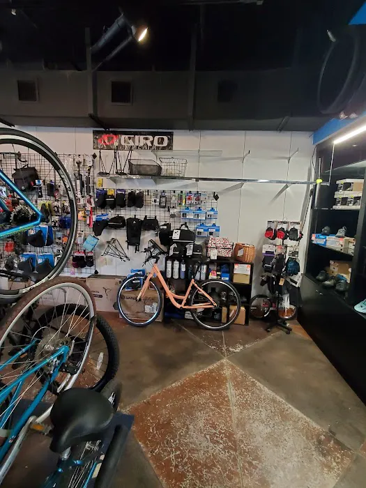 Trinity cyclery Picture 1