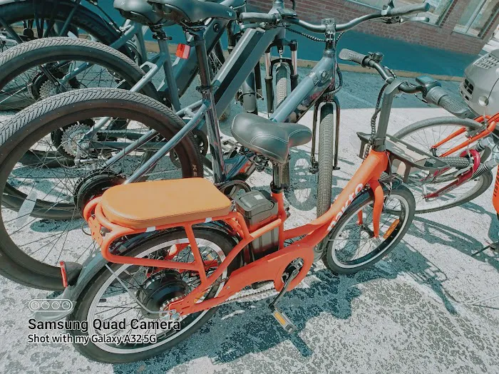 Tarpon Tom's Bike Shop Picture 4