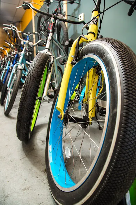 Tarpon Tom's Bike Shop Picture 6