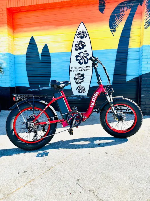 Big Time Electric Bike & E-Bike Shop Picture 3