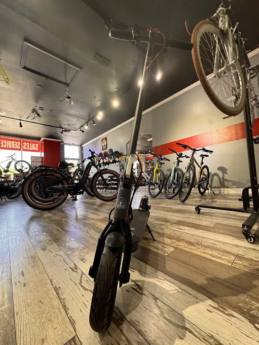 Tarpon Tom's E-bikes Picture 2