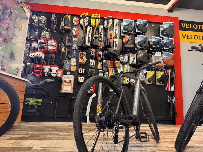 Tarpon Tom's E-bikes Picture 3