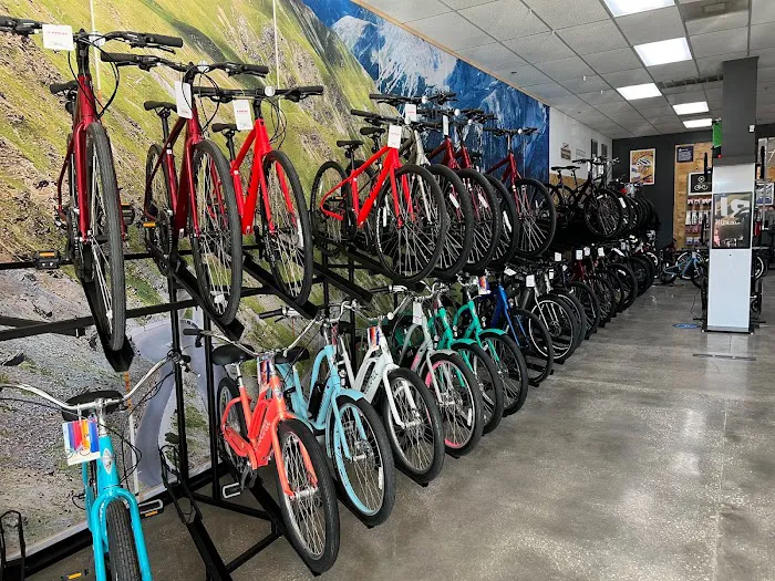 Trek Bicycle Tampa Carrollwood Picture 10