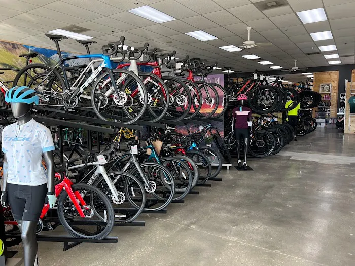 Trek Bicycle Tampa Carrollwood Picture 2