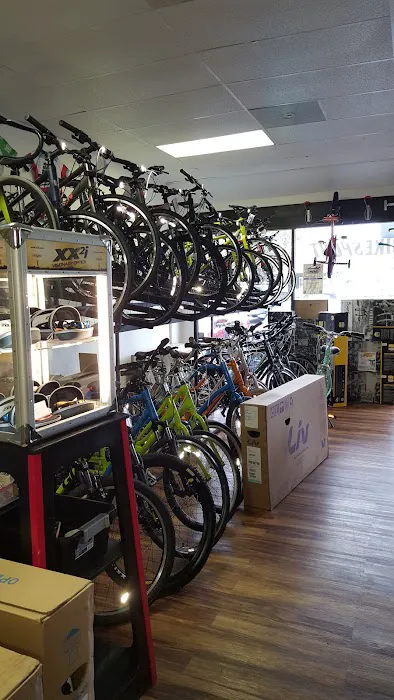 BikeSport Picture 3