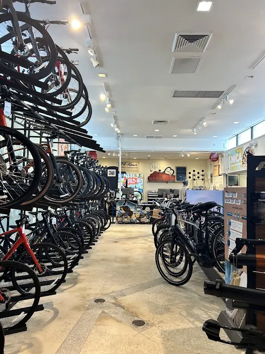 Trek Bicycle Dunedin Picture 6