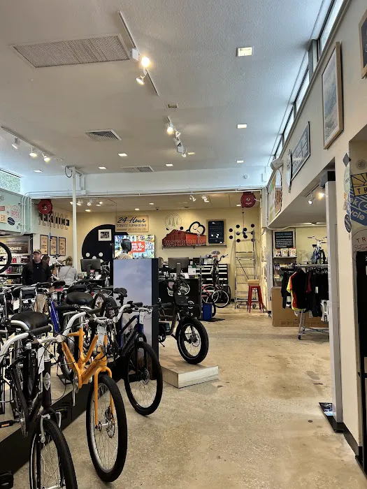 Trek Bicycle Dunedin Picture 4
