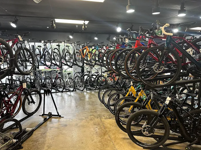 Trek Bicycle Dunedin Picture 2