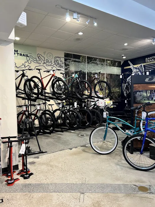 Trek Bicycle Dunedin Picture 7
