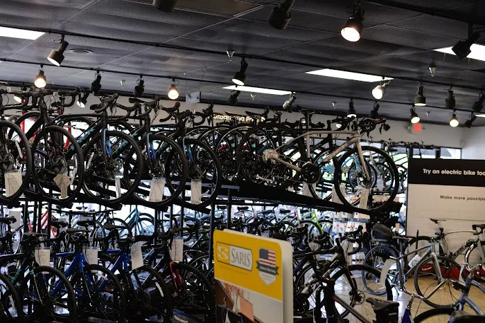 Trek Bicycle Dunedin Picture 10
