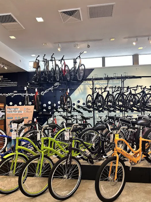 Trek Bicycle Dunedin Picture 5